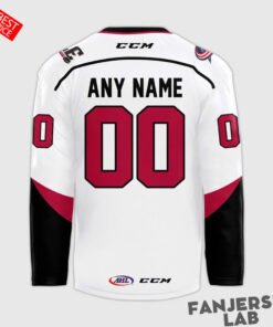Cleveland Monsters Lake Erie Custom Hockey Jersey 3.jpg