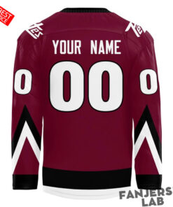 Peterborough Petes 2026 Special New Hockey Jersey 3.jpg