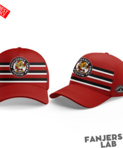 Providence Bruins Fightin Parms Strike Back Custom Hockey Jersey 7.jpg